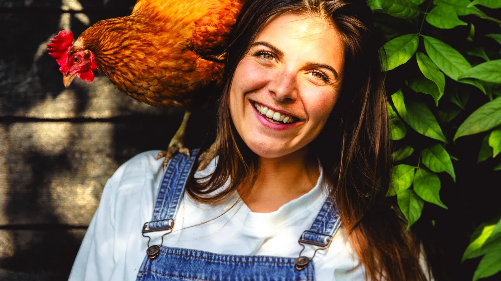 Arieke van Liere met een van haar kippen op haar schouder