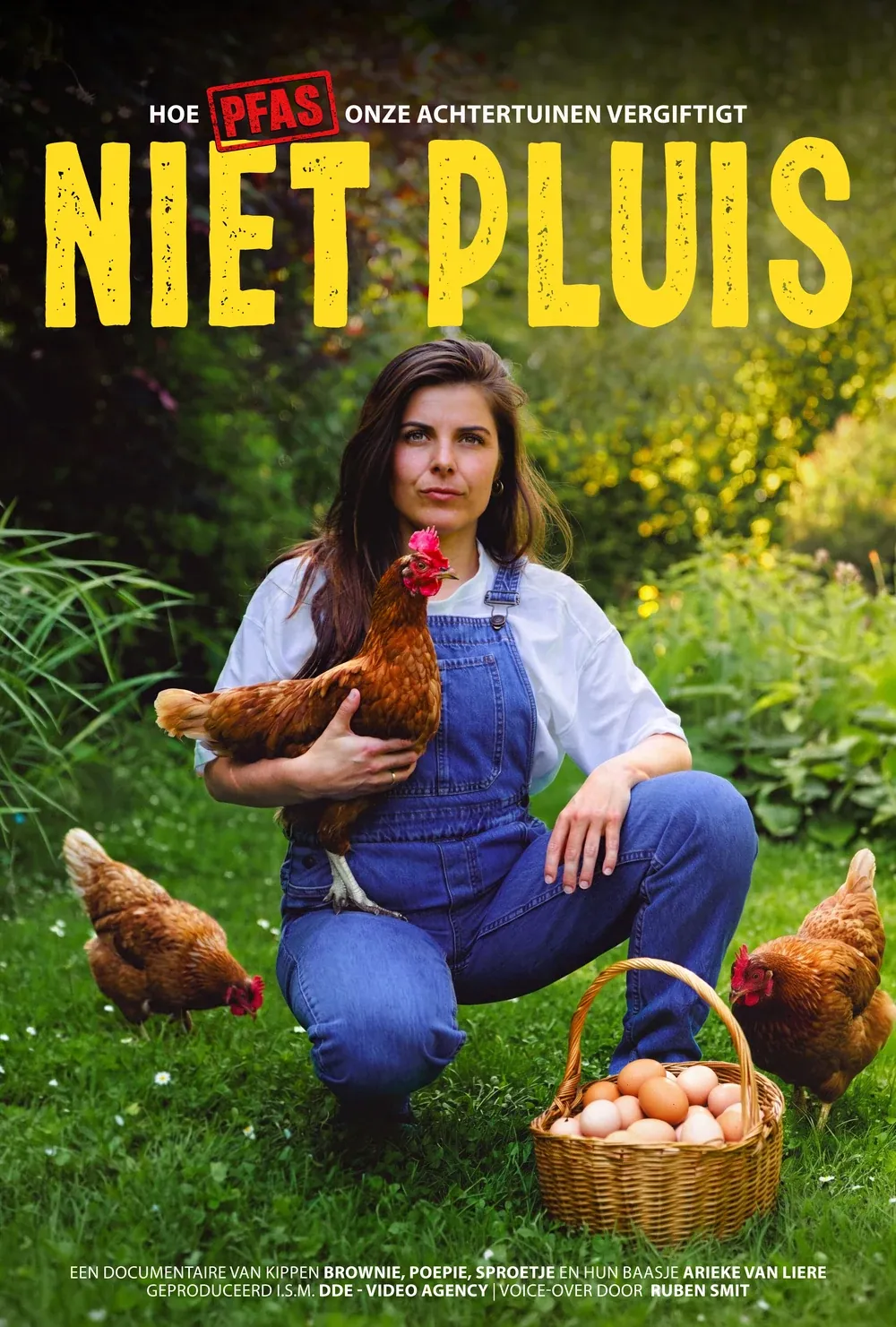 Filmposter Niet Pluis